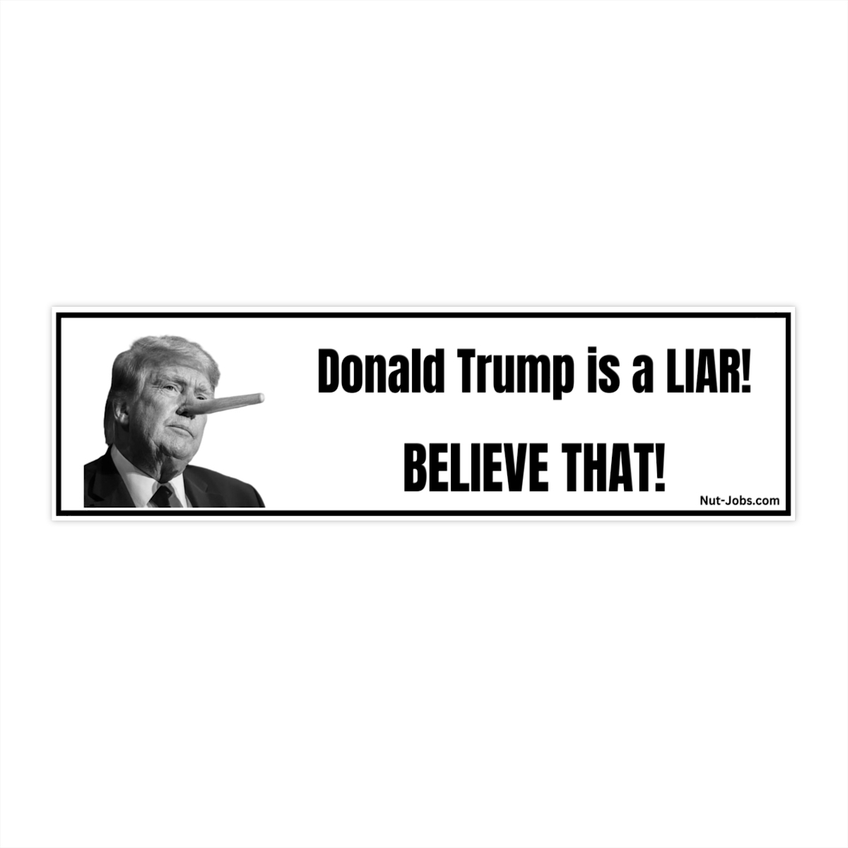 Donald Trump is a LIAR! BELIEVE THAT! Bumper Sticker
